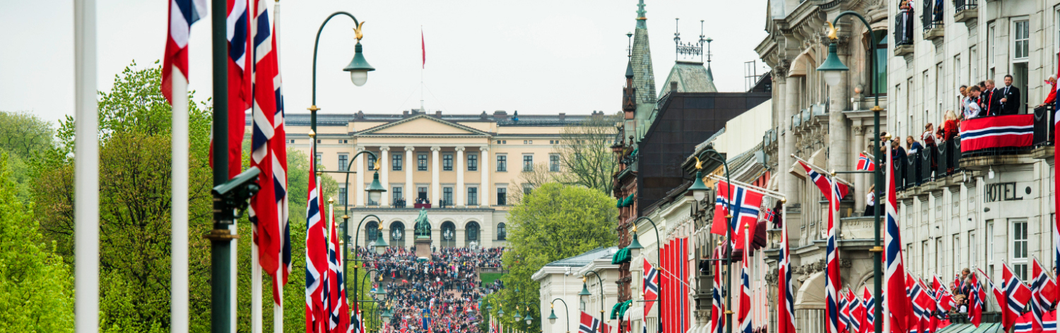 Karl Johan Street and the Royal Palace on Contitution Day. Photo: Fredrik Varfjell / NTB scanpix